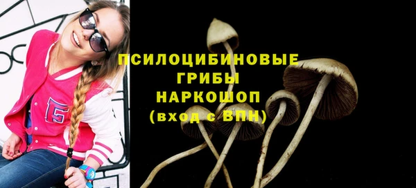 альфа пвп Ладушкин